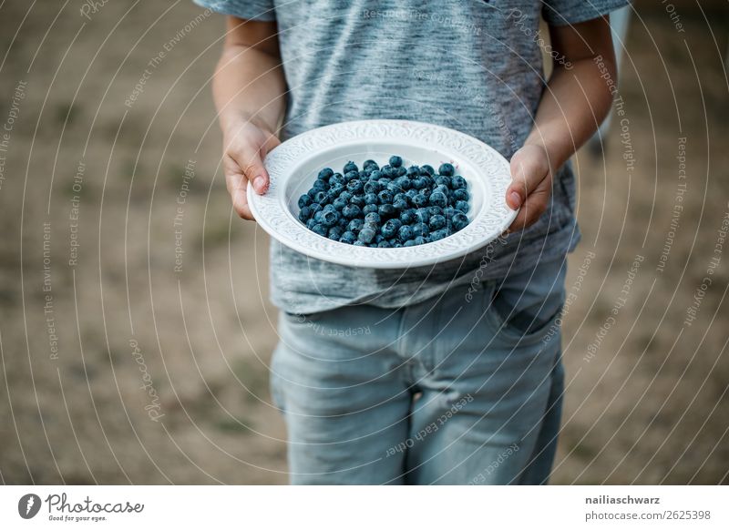 Heidelbeeren Lebensmittel Frucht Dessert Blaubeeren Ernährung Bioprodukte Vegetarische Ernährung Diät Teller Schalen & Schüsseln Gesundheit Gesunde Ernährung