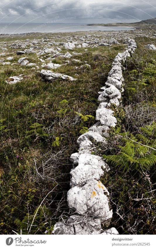 Dieser Weg wird kein leichter sein … Landschaft Himmel Wolken Pflanze Gras Sträucher Farn Grünpflanze Felsen Küste Meer Atlantik Republik Irland Mauer Wand alt