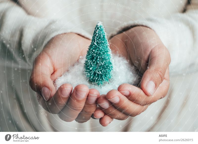 Weihnachtskonzept Freude Glück Schnee Weihnachten & Advent Kind Kindheit Hand Schneefall Baum Liebe träumen Schutz Hoffnung Idee Tanne Kiefer Weihnachtsbaum