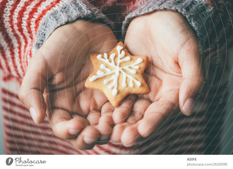 Weihnachtskeks in Kinderhänden Dessert Winter Dekoration & Verzierung Weihnachten & Advent Hand Baum Pullover lecker braun Tradition Plätzchen eine Menschen