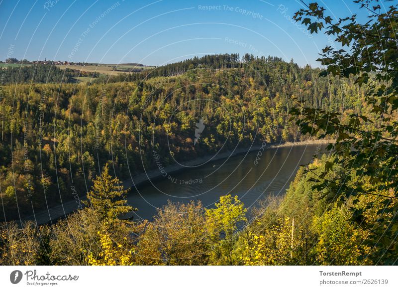 Stausee Hohenwarte Natur Landschaft Sommer Herbst Baum See entdecken Erholung blau gelb grün Lebensfreude Hohenwarte-Stausee Hohenwartetalsperre Mittelgebirge
