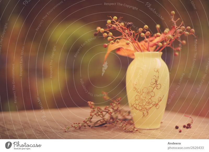 Herbstliches Stillleben mit Vase und Pflanzen auf einer Platte aus Holz Häusliches Leben Garten Dekoration & Verzierung Natur Sträucher Blatt Grünpflanze