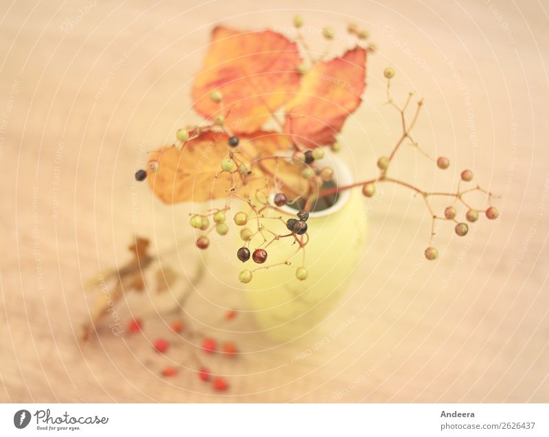 Herbstliches Stillleben mit Vase und Pflanzen Wohnung Erntedankfest Natur Sträucher Blatt Wildpflanze Dekoration & Verzierung einzigartig natürlich retro