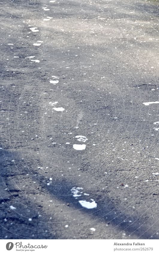 Deine Spuren II Winter Eis Frost Schnee gehen Zukunftsangst Karriere Etappen Wege & Pfade Ziel Fußgänger Fußspur Zukunftsorientiert Farbfoto Gedeckte Farben
