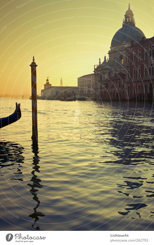 Venezianisches Morgenlicht Ferien & Urlaub & Reisen Tourismus Sightseeing Städtereise Insel Laguneninseln Wasser Wellen Fluss Canal Grande Venedig Italien