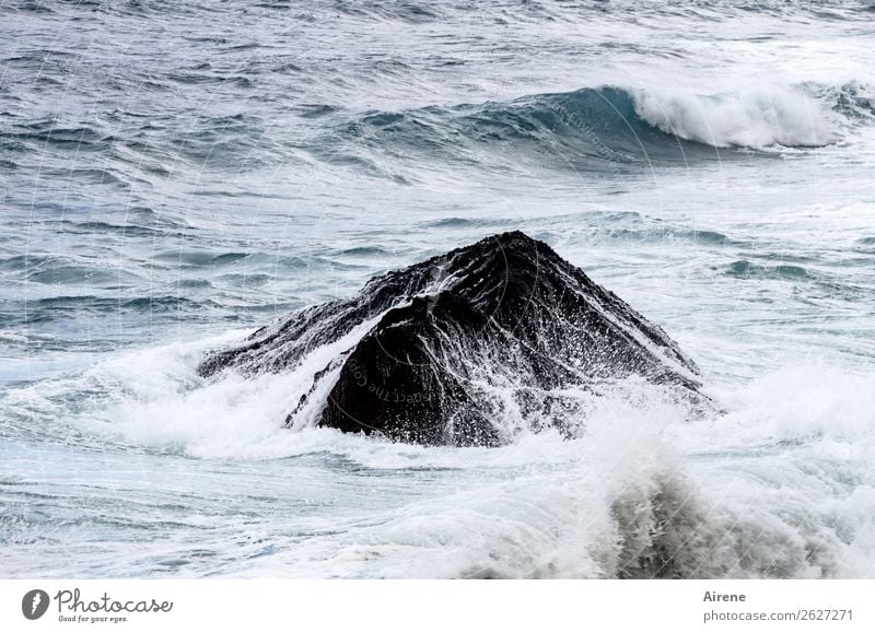 Spülgang Sturm Wellen Meer Atlantik Klippe Madeira Stein Wasser kegelförmig Spitze toben bedrohlich dunkel natürlich blau grau schwarz silber weiß Aggression