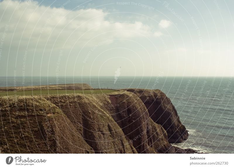 Schottische Küste Umwelt Natur Urelemente Erde Himmel Wolken Klima Schönes Wetter Wind Pflanze Gras Wellen Bucht Nordsee Meer Aberdeen Schottland frei wild blau