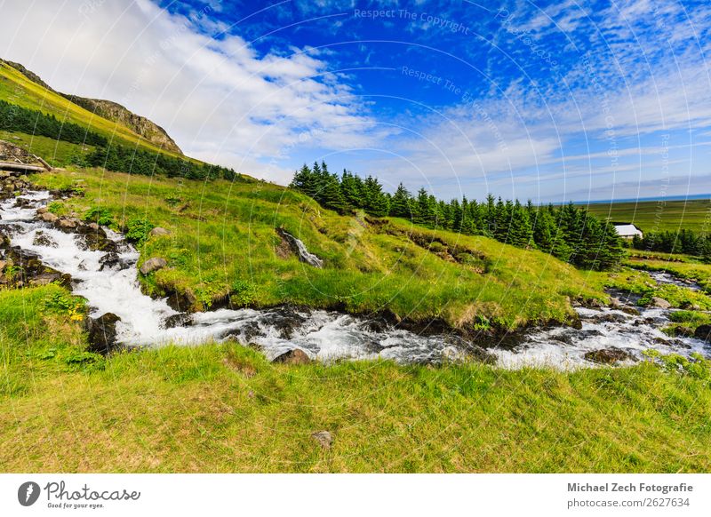 Bjarnarfoss Wasserfall am westlichen Ende der Schlangenfelsen ruhig Ferien & Urlaub & Reisen Ausflug Abenteuer Insel Berge u. Gebirge Haus Natur Landschaft