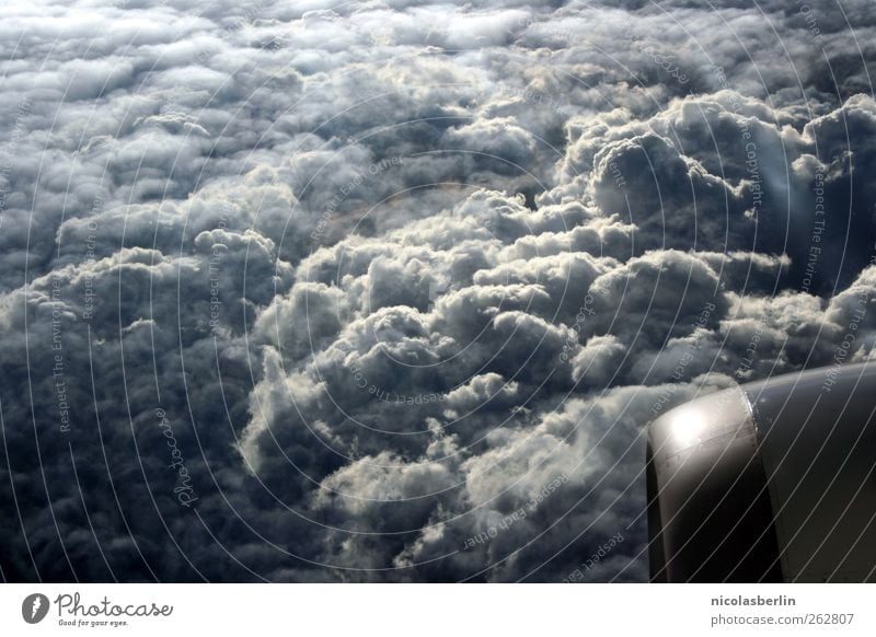 Ich bin dann mal weg.. Ferien & Urlaub & Reisen Freiheit Umwelt Himmel Wolken Gewitterwolken Wetter Unwetter Sturm Luftverkehr Flugzeug Flugzeugausblick fliegen