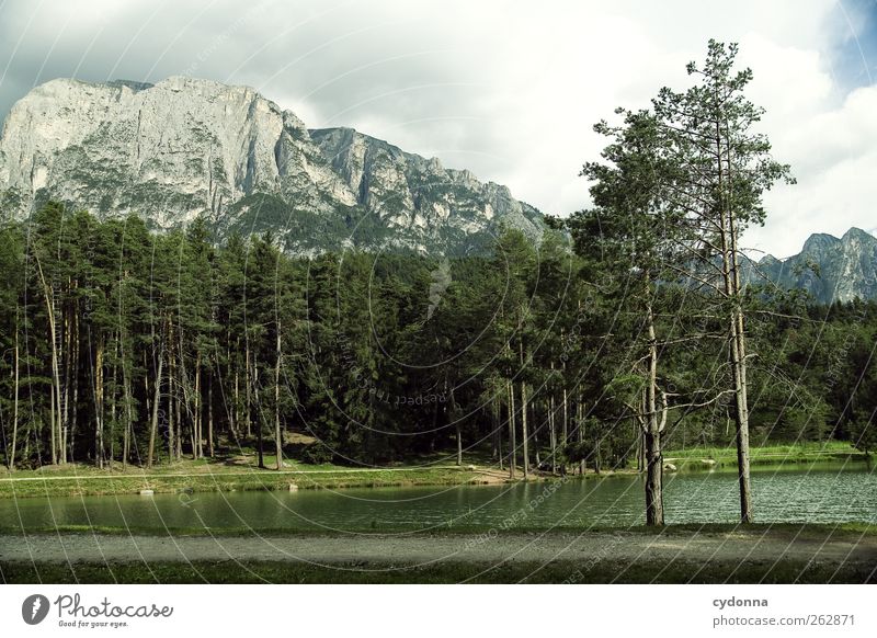 Waldsee mit Blick zum Schlern Erholung ruhig Ferien & Urlaub & Reisen Tourismus Ausflug Umwelt Natur Landschaft Sommer Baum Alpen Berge u. Gebirge Seeufer