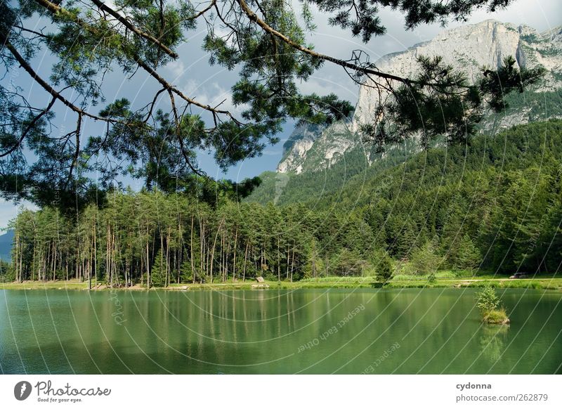 Still ruht der See harmonisch Erholung ruhig Ferien & Urlaub & Reisen Tourismus Ausflug Ferne Freiheit Umwelt Natur Landschaft Sommer Baum Wald Alpen