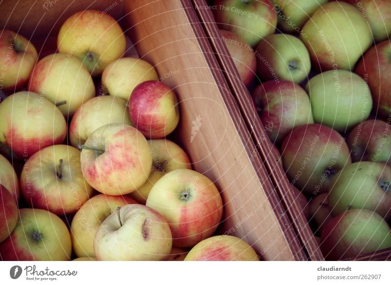 An apple a day... Frucht Apfel Ernährung Bioprodukte Vegetarische Ernährung frisch lecker saftig grün rot Gesundheit Kiste Marktstand Obst- oder Gemüsestand