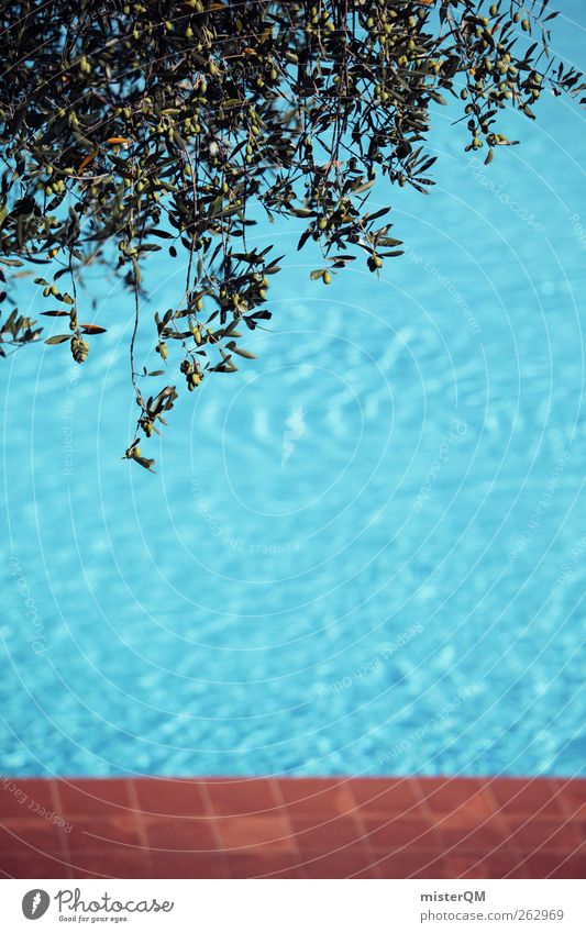 Oliven an Pool. Kunst ästhetisch Zufriedenheit Schwimmbad Wasser Olivenbaum Surrealismus Sommerurlaub Sommertag Sommerferien blau Freibad Fliesen u. Kacheln