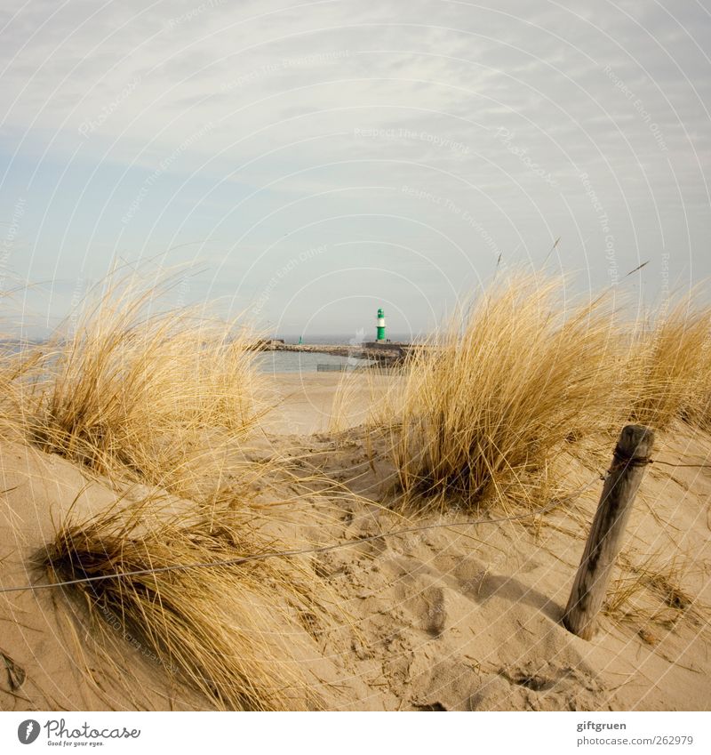 sonst ganz groß Umwelt Natur Landschaft Pflanze Urelemente Sand Wasser Himmel Wolken Sommer Gras Küste Strand Ostsee Meer klein Leuchtturm Turm Düne Stranddüne