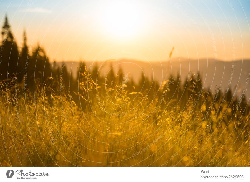 Sonnenuntergang in den Bergen schön Ferien & Urlaub & Reisen Camping Sommer Sommerurlaub Berge u. Gebirge wandern Umwelt Natur Landschaft Pflanze Luft Himmel