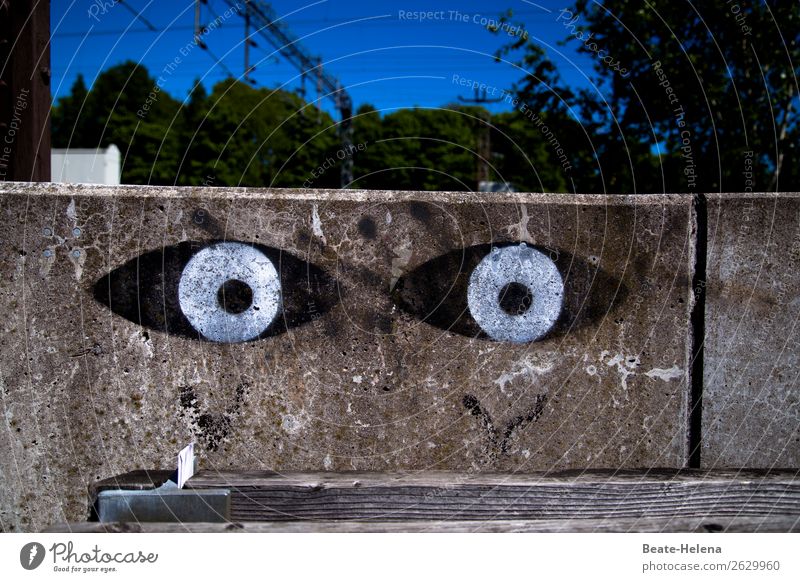 Verwandlung | wenn Beton zu Leben erwacht Gesicht Auge Umwelt Himmel Helsinki Hauptstadt Stadtzentrum Bauwerk Architektur Mauer Wand Straße Wege & Pfade Holz