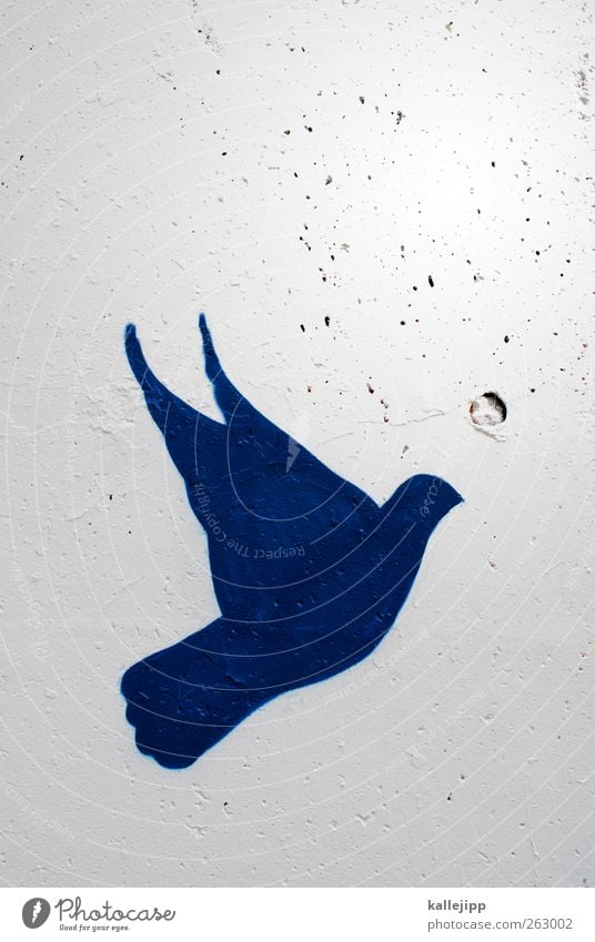 ! Tier Taube 1 Zeichen fliegen Frieden Friedenstaube Graffiti Mauer weiß blau Politik & Staat Krieg Menschenrechte Freiheit Diktatur Information Farbfoto