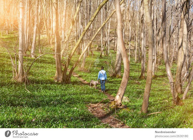 Waldspaziergang im Frühjahr Ausflug Mensch feminin Frau Erwachsene Natur Landschaft Pflanze Frühling Schönes Wetter Baum Gras Wege & Pfade Hund laufen