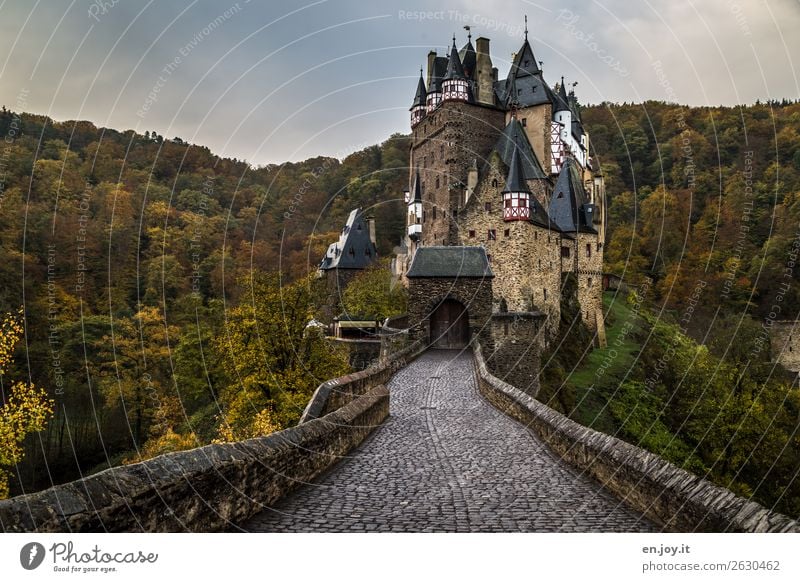 Gedankenspiele | Wieso ist denn zu? Ferien & Urlaub & Reisen Ausflug Abenteuer Sightseeing Gewitterwolken Herbst Wald Hügel Rheinland-Pfalz Deutschland