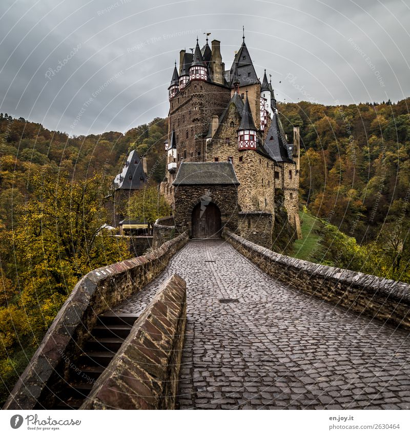 Alterserscheinung | scheint dem Alter zu trotzen Ferien & Urlaub & Reisen Ausflug Sightseeing Umwelt Natur Landschaft Wolken Herbst schlechtes Wetter Wald Hügel