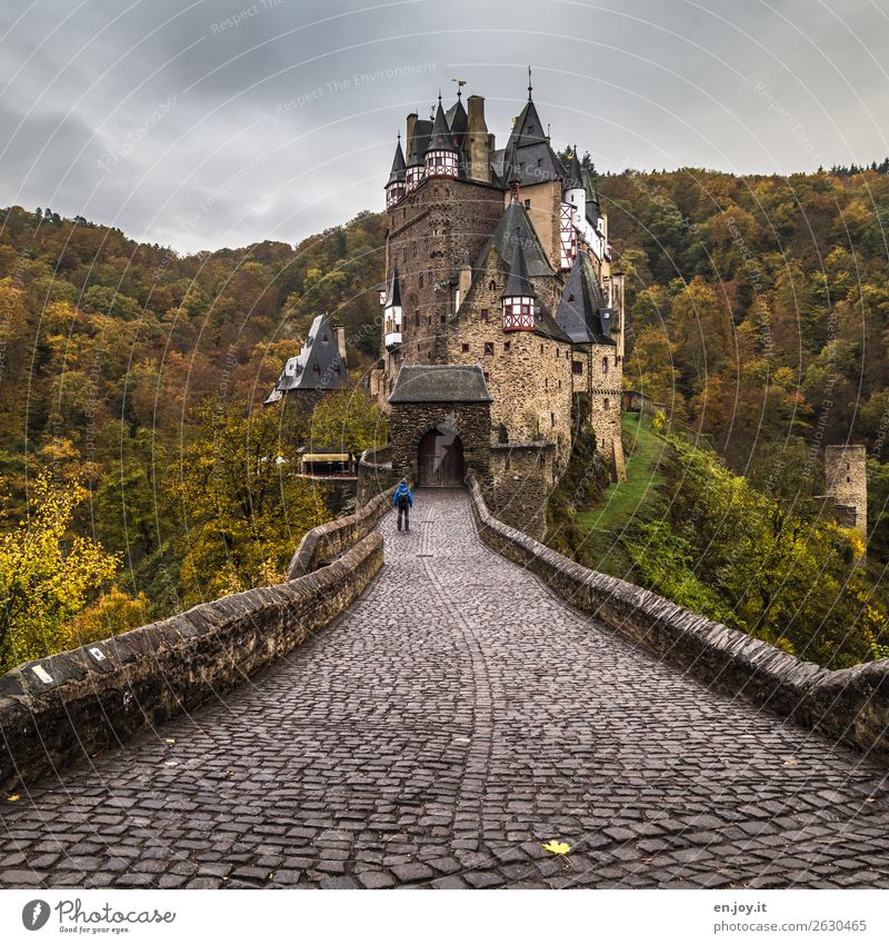 geschlossene Gesellschaft Ferien & Urlaub & Reisen Sightseeing Mann Erwachsene 1 Mensch Gewitterwolken Herbst schlechtes Wetter Wald Hügel Rheinland-Pfalz
