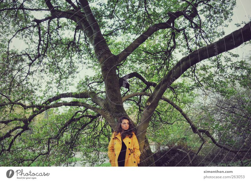 baum 1 Mensch einzigartig gelb Mittelpunkt Baum Park retro Mantel Regenmantel Model Natur schön Farbfoto