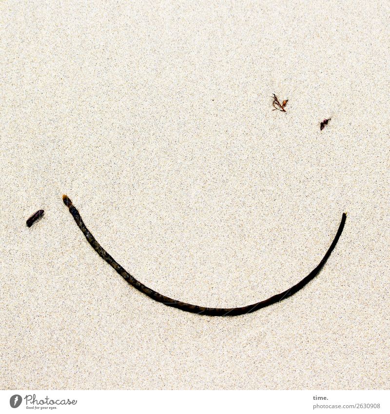angespülte | Überraschung Kunstwerk Skulptur Sand Seegras Strand Zeichen Linie Gesichtsausdruck Smiley Lächeln Freundlichkeit Fröhlichkeit Glück listig lustig