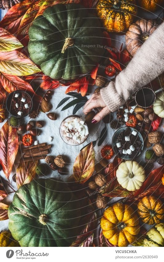 Herbst Stilleben mit Kürbisen und heiße Schokolade Dessert Getränk Heißgetränk Kakao Lifestyle Design Häusliches Leben Wohnung Traumhaus Dekoration & Verzierung