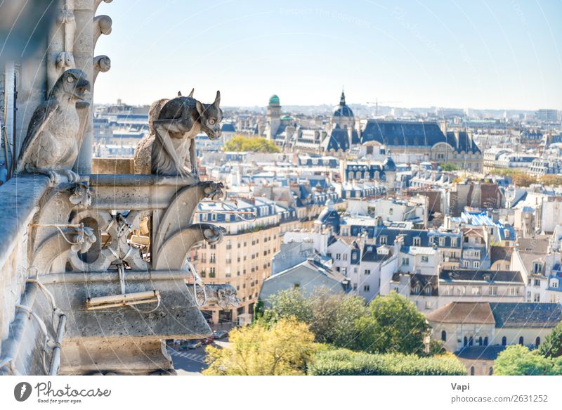 Gargoyle-Statue auf Notre Dame de Paris Ferien & Urlaub & Reisen Tourismus Ausflug Sightseeing Städtereise Sommerurlaub Skulptur Kultur Landschaft Himmel