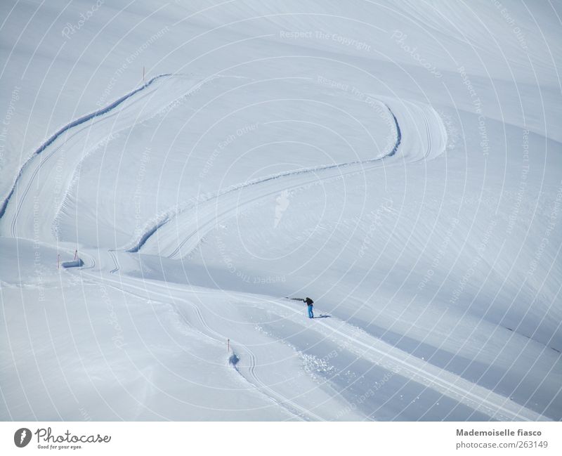Tourengänger auf Weg in komplett weiss zugeschneiter Landschaft sportlich Fitness Ausflug Winter Schnee Winterurlaub Berge u. Gebirge wandern Skifahren 1 Mensch
