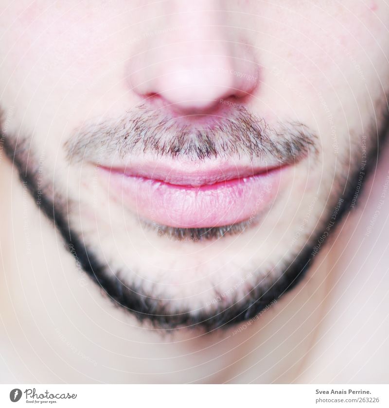 close up. maskulin Junger Mann Jugendliche Erwachsene Nase Lippen Kinn Wange 1 Mensch 18-30 Jahre Bart Oberlippenbart Dreitagebart Freundlichkeit Sympathie