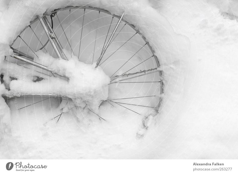 Spezialbelag Freizeit & Hobby Fahrrad Fahrradreifen Felge Umwelt Winter Klima Wetter Unwetter Schnee kalt silber weiß Güterverkehr & Logistik rund Speichen