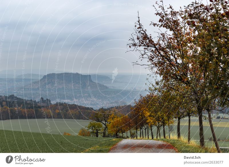 Lilienstein Ferien & Urlaub & Reisen Tourismus Berge u. Gebirge wandern Herbsturlaub Natur Landschaft Wetter Baum Hügel blau braun mehrfarbig gelb grün