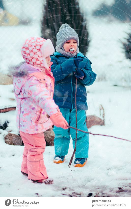 Kinder genießen Marshmallows, die am Lagerfeuer zubereitet werden. Lifestyle Freude Glück Winter Schnee Winterurlaub Mensch Mädchen Junge Geschwister Bruder
