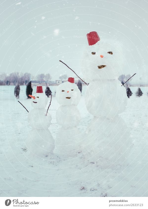 Drei Schneemänner stehen im Garten. Lifestyle Freude Winter Schneefall frieren genießen machen niedlich weiß kalt Hinterhof Genuss Jahreszeiten Schneemann