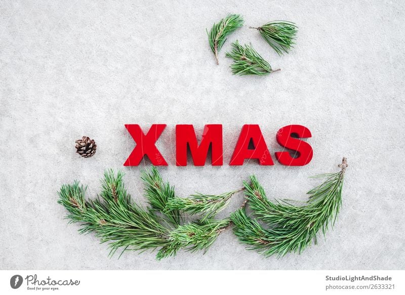 Kiefernzweige und das Wort Weihnachten auf grauem Hintergrund Winter Dekoration & Verzierung Weihnachten & Advent Natur Pflanze Wärme Baum Beton Ornament