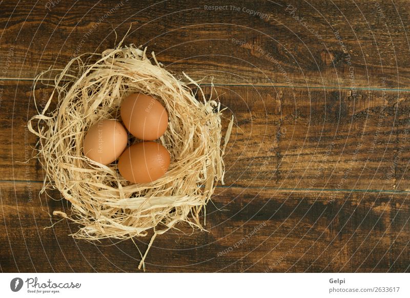 Eier auf Stroh Lebensmittel Frühstück Tisch Küche Ostern Menschengruppe Tier Vogel Holz frisch natürlich braun gelb weiß organisch Nest Gesundheit Bauernhof