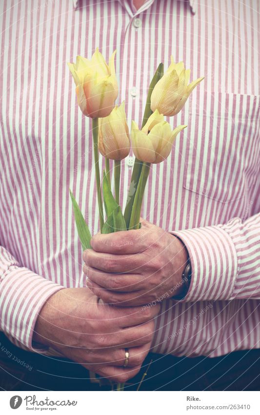 Vielen Dank... Mensch maskulin Mann Erwachsene Hand 1 45-60 Jahre Pflanze Blume Tulpe Blüte Hemd Ring Blühend Freundlichkeit schön Romantik dankbar Blumenstrauß