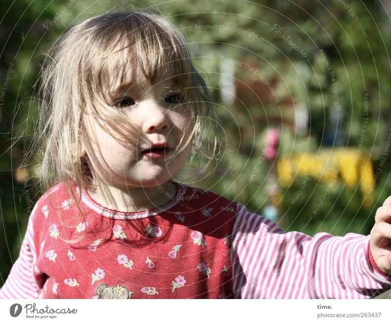 Welterkunderin feminin Kind Mädchen Kopf Haare & Frisuren Gesicht Arme 1 Mensch 1-3 Jahre Kleinkind Natur Schönes Wetter Garten beobachten authentisch natürlich