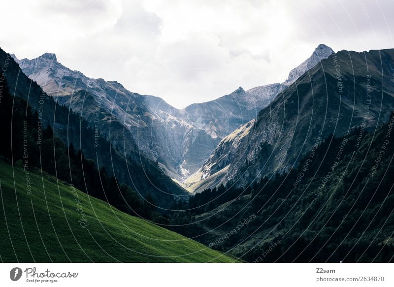Allgäu | Trettachtal Berge u. Gebirge wandern Umwelt Natur Landschaft Sonnenlicht Sommer Wetter Alpen Gipfel gigantisch Abenteuer geheimnisvoll Idylle