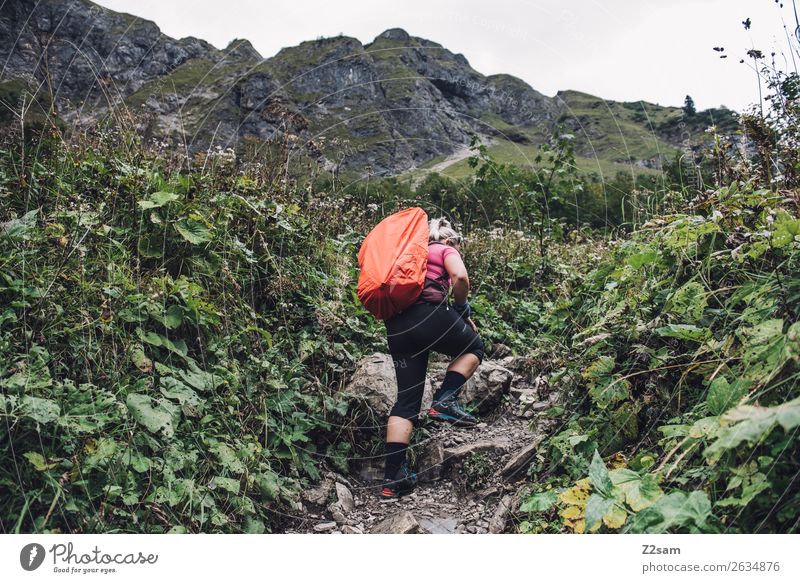 Junge Frau auf Fernwanderung Freizeit & Hobby Berge u. Gebirge wandern Jugendliche 18-30 Jahre Erwachsene Natur Landschaft schlechtes Wetter Sträucher Alpen
