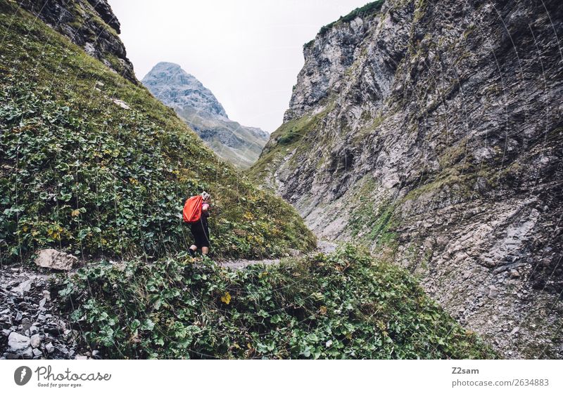 Aufstieg zur Kemptner Hütte Berge u. Gebirge wandern Junge Frau Jugendliche 30-45 Jahre Erwachsene Natur Landschaft Sträucher Felsen Alpen Rucksack Wanderschuhe