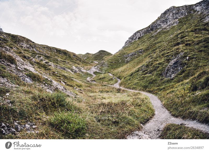 Aufstieg zum Mädlejoch Abenteuer wandern Natur Landschaft Herbst Alpen Berge u. Gebirge Gipfel Ferne Unendlichkeit hoch grün Einsamkeit Idylle nachhaltig ruhig