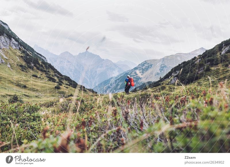 Abstieg nach Holzgau | Alpenüberquerung Ferien & Urlaub & Reisen Abenteuer wandern Junge Frau Jugendliche Natur Landschaft Schönes Wetter Gras Wiese