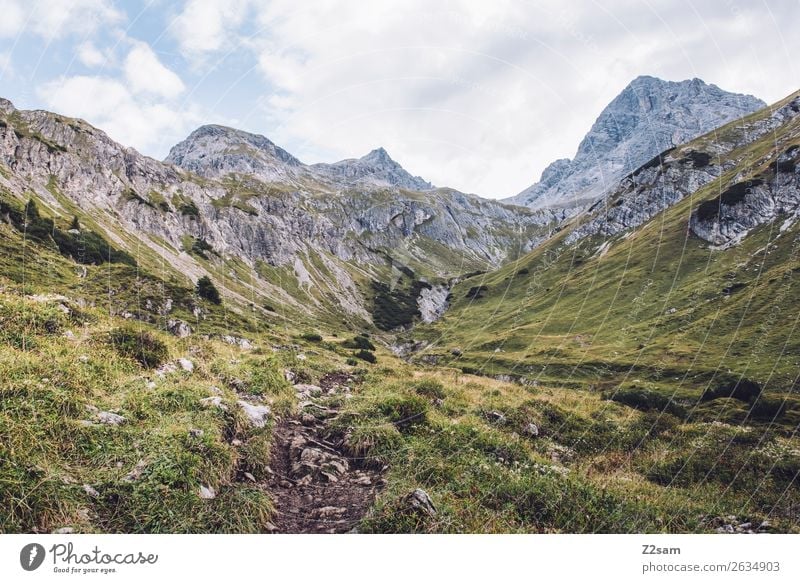 Krottenkopf im Allgäu Abenteuer wandern Natur Landschaft Wiese Felsen Alpen Berge u. Gebirge gigantisch groß hoch Einsamkeit Erholung Idylle Wege & Pfade