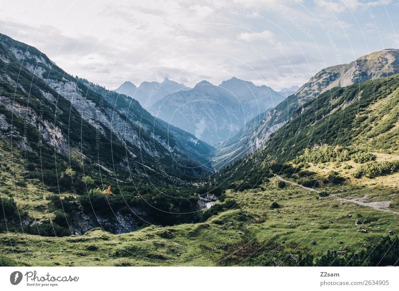 Abstieg nach Holzau Ferien & Urlaub & Reisen Abenteuer wandern Natur Landschaft Wiese Alpen Berge u. Gebirge Ferne natürlich blau grün Einsamkeit Erholung