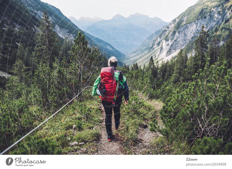 Junge Frau auf Alpenüberquerung Ferien & Urlaub & Reisen Abenteuer Freiheit wandern Jugendliche 18-30 Jahre Erwachsene Natur Landschaft Schönes Wetter Sträucher