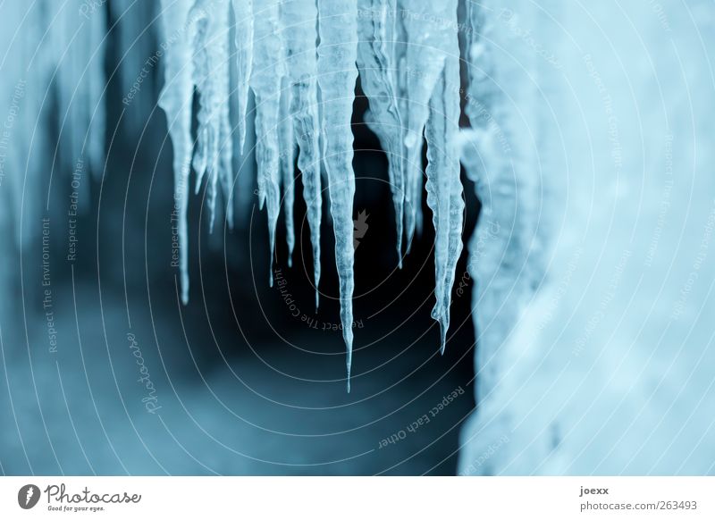 Zapfenstreich Natur Wassertropfen Winter Eis Frost fest Flüssigkeit kalt blau schwarz weiß Eiszapfen Eiszeit gefroren Farbfoto Gedeckte Farben Außenaufnahme
