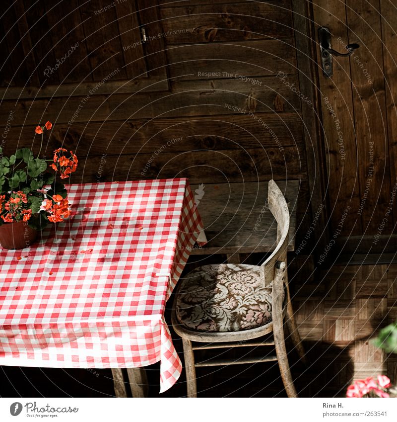 KaroTischdecke (Idylle II ) Terrasse Topfpflanze rot weiß Tischwäsche urig Holzhütte kariert Farbfoto Außenaufnahme Menschenleer Licht Schatten Holzstuhl