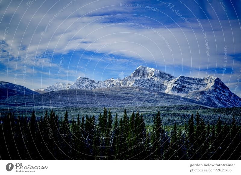 #Kanada Rocky Mountains Natur Landschaft Pflanze Urelemente Erde Himmel Wolken Winter Schönes Wetter Baum Felsen Gipfel Schneebedeckte Gipfel Menschenleer